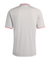 adidas Olympique Lyon Trikot 3rd 2025/2026 Grau - grau