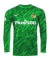 Young Boys Bern BSC Young Boys Torwarttrikot Home 2025/2026 Grün - gruen