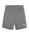 PUMA teamGOAL Short Kids Grau Weiss F13 - grau