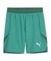 PUMA teamFINAL Short Grün Weiss Grün F05