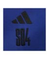 adidas FC Schalke 04 Hoody Kids Blau Blau - blau