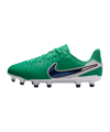 Nike Legend 10 Academy LV8 FG/MG Fear Nothing Kids Grün F300 - gruen