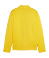 PUMA teamGOAL Trainingsjacke Kids Gelb F07 - gelb