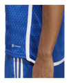 adidas Tiro 23 Competition Match Trikot Blau Weiss - blau