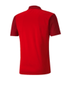 PUMA teamGOAL 23 Sideline Poloshirt Rot F01 - rot