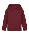 Merch Mini Cruiser 2.0 Hoody Kids Burgundy FC244