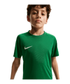 Nike Park VIII Trikot Kids Grün F302 - gruen