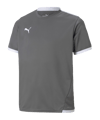 PUMA teamLIGA Trikot Kids Grau F13