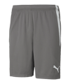 PUMA teamLIGA Short Grau Weiss F13