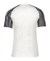 Nike Academy Trikot Kids Weiss Schwarz F104 - weiss