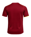 Servette FC Servette FC Trikot Home 2025/2026 Kids Rot - rot