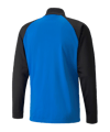 PUMA teamLIGA Trainingsjacke Kids Blau F02 - blau