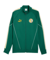 PUMA FSF Senegal KING Anthem Jacke Grün F20 - gruen