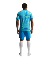 Nike CBF Brasilien Prematch T-Shirt WM 2026 Grün F369 - gruen