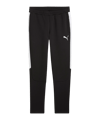 PUMA teamEVOSTRIPE Trainingsose Schwarz F03