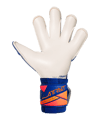 Reusch Attrakt Gold X Evolution Torwarthandschuhe Blau
