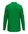Erima INTRO Training Sweatshirt Grün F1262606 - gruen