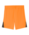 PUMA teamLIGA26 Short Kids Orange F08 - orange