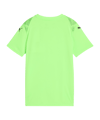 PUMA teamULTIMATE Trikot Kids Grün F20 - gruen