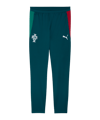 PUMA FPF Portugal Trainingshose Blau F15 - blau