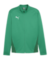 PUMA teamGOAL Trainingsjacke Grün F05