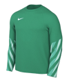 Nike Park V Trikot langarm Grün F324