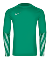 Nike Park V Trikot langarm Grün F324