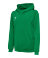 Hummel AUTHENTIC PL Hoody Kids Grün F6235 - gruen