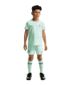 Nike FFF Frankreich Minikit Trikot Set Away WM 2026 Kids Grün F394 - gruen