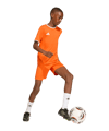 adidas Entrada 26 Trikot Kids Orange - orange