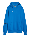 PUMA Hoops Team Hoody Blau F05 - blau