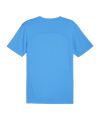 PUMA teamFINAL Trikot Blau F02 - blau