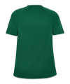 hummel Core 2.0 Trikot Grün F6131 - gruen