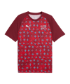PUMA SFV Schweiz Prematch T-Shirt WM 2026 Rot F06 - rot