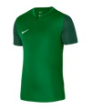Nike Trophy V Trikot Kids Grün F302