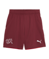 PUMA Schweiz Short EM 2024 Kids Rot F03 - rot