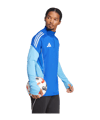 adidas Tiro 25 Competition Sweatshirt Blau - blau