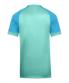 Nike Trophy VI Trikot Kids Grün F354