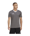 adidas Entrada 22 Trikot Grau Weiss - grau