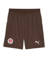 PUMA FC St. Pauli Short 2026/2027 Braun F01 - braun