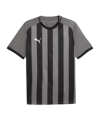 PUMA teamLIGA26 Striped Trikot Grau F13