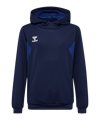 Hummel AUTHENTIC PL Hoody Kids Blau F7026