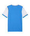 PUMA teamFINAL26 Knit Trikot Blau F02 - blau