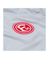 adidas Fortuna Düsseldorf Präsentation T-Shirt Grau - grau