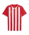 PUMA teamLIGA26 Striped Trikot Rot F01