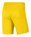 Nike Park III Short Gelb F718 - gelb