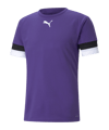 PUMA teamRISE Trikot Lila F10