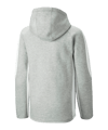 PUMA EVOSTRIPE Kapuzenjacke Kids Grau F04