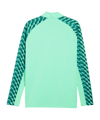 PUMA teamLIGA26 Training 1/4 Zip Top Grün F80 - gruen