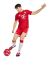 adidas FC Bayern München Authentic Trikot Home 2026/2027 Rot - rot